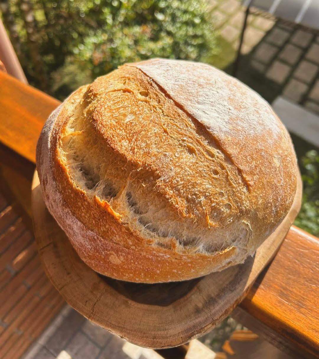 Pão Sourdough